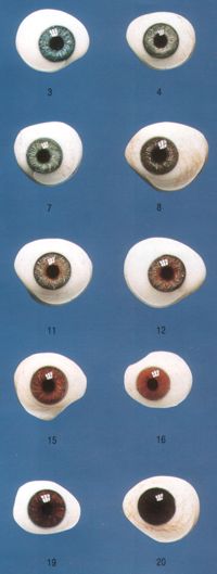 Augenprothesen aus Glas - Glasaugen
