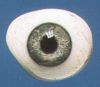 artificial eye, künstliches Auge, Glasauge