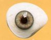 Augenprothese, Künstliches Auge