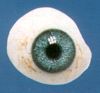 Knstliches Auge aus Glas, Augenprothese, Kunstauge