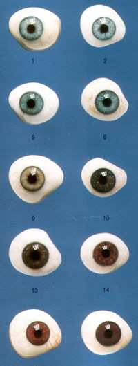 Augenprothesen aus Glas - Glasaugen